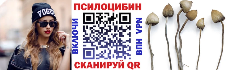хочу   Духовщина  Галлюциногенные грибы мухоморы 